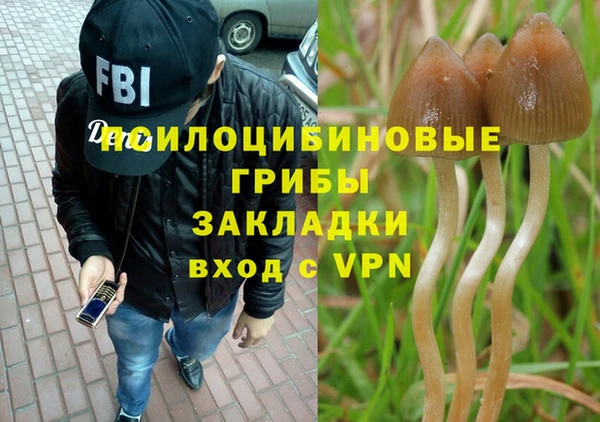 Альфа ПВП Алексин