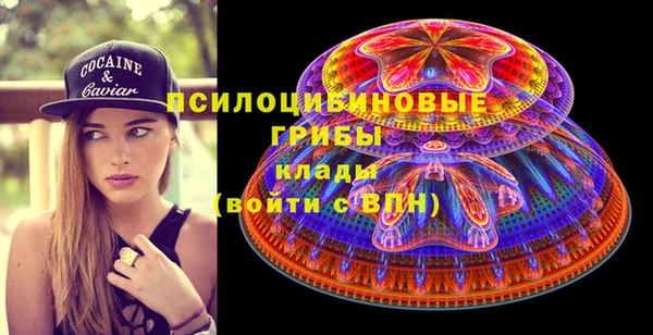 прущая мука Алзамай