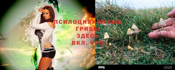 прущая мука Алзамай