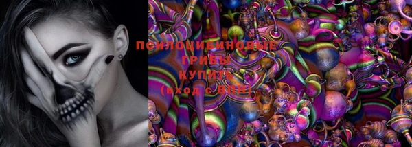 стафф Арсеньев