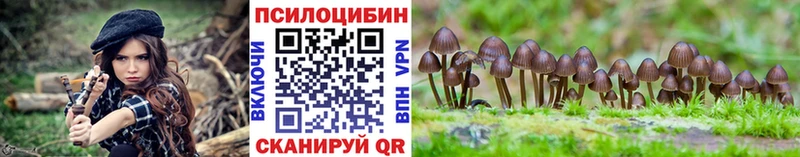купить цена Холм OMG вход Галлюциногенные грибы ЛСД
