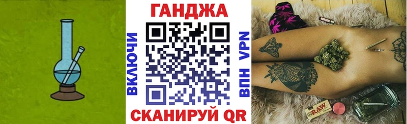 Конопля гибрид  Холм 